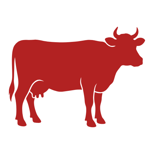 Beef